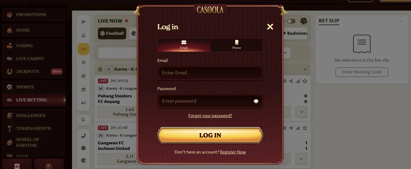Casoola Casino secure login interface for New Zealand players